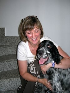 gassie our rescue setter