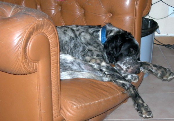 DSCN1237 (600 x 418)