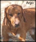 Argo (336 x 390)