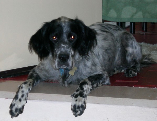 DSCN1277 (600 x 465)