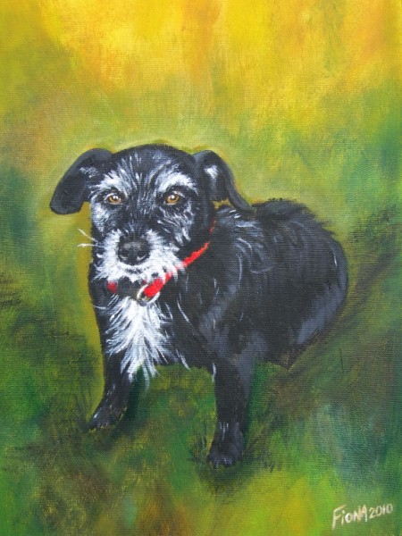 DSCN1443 (450 x 600)