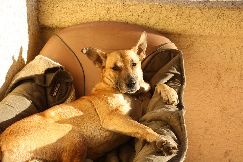 !cid_X_MA7_1301857799@aol