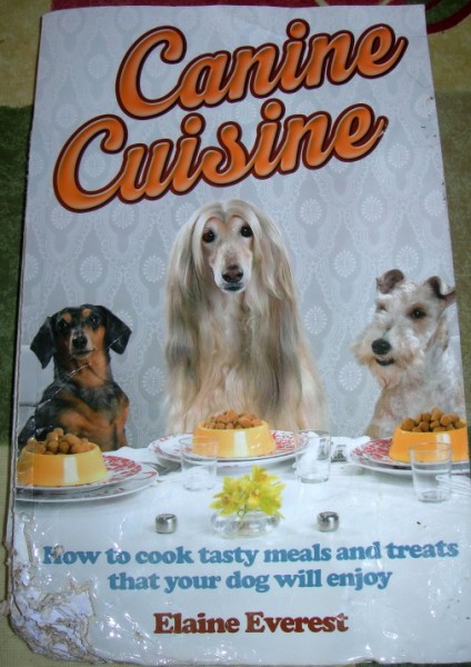 DSCN1681 (424 x 600)