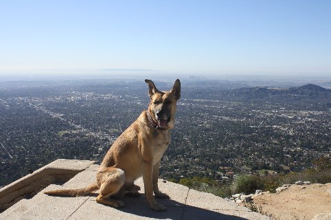 !cid_X_MA3_1301857799@aol