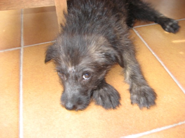 IMG_1654 (600 x 450)